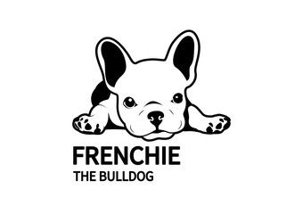 Buy French Bulldog in Online USA